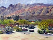 View To The Catalina Mts., Tucson, AZ